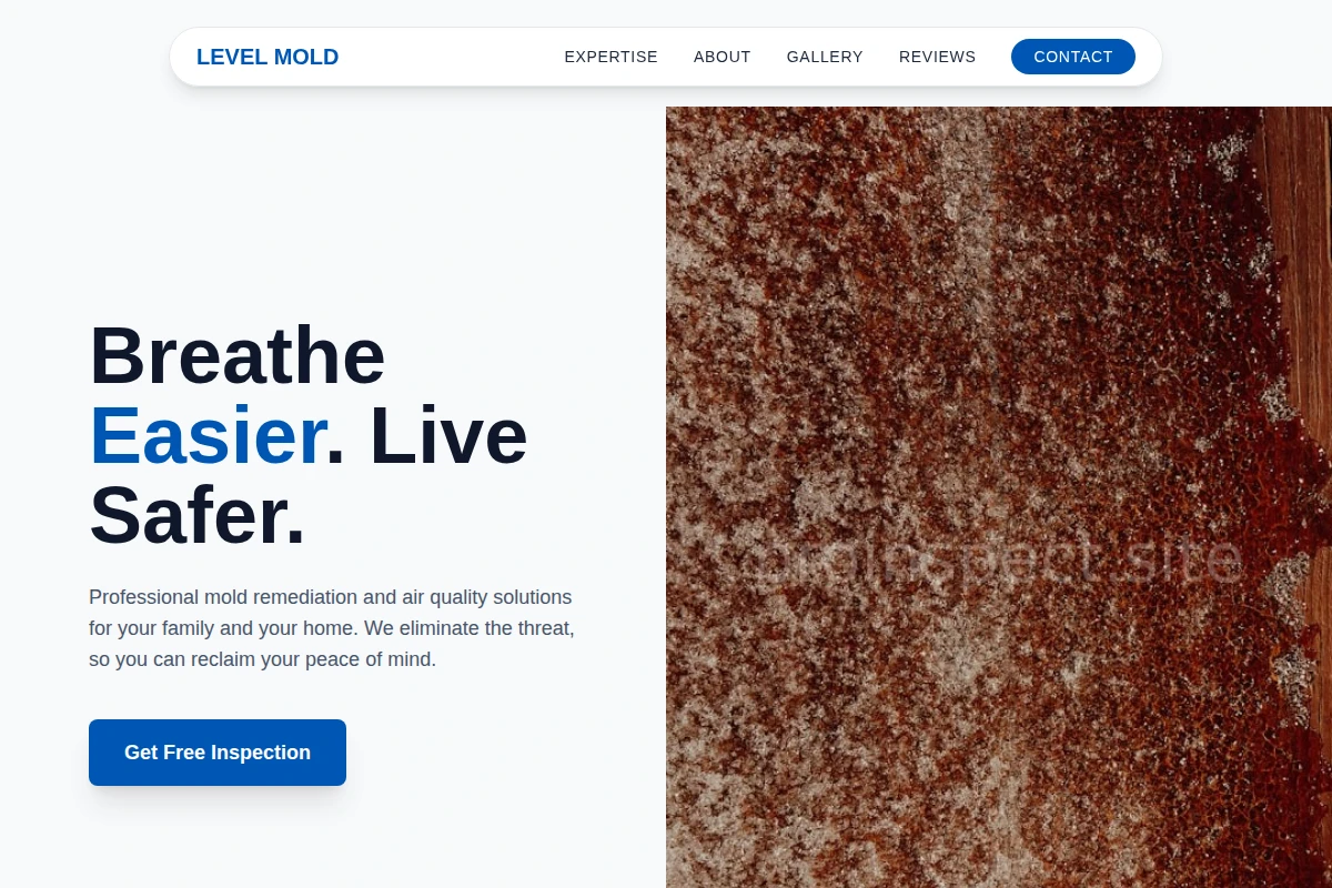 Level Mold Removal